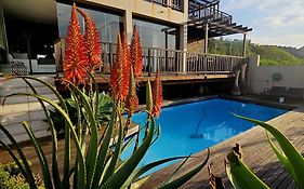 4 Dolphin Views La Mercy Luxury Beachfront Apartment With Private Swimming Pool